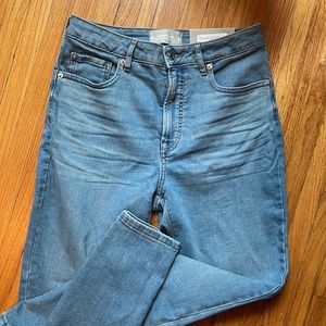 Everlane High Rise Skinny Jean